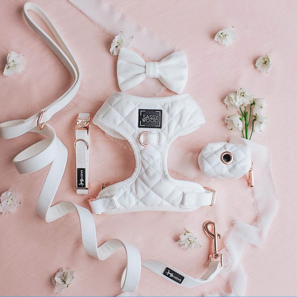 Sassy Woof “I Do Too” Adjustable Harness - White